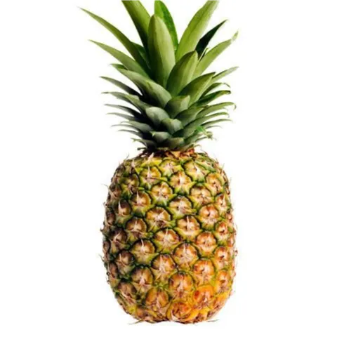 Pineapple 1 Pcs