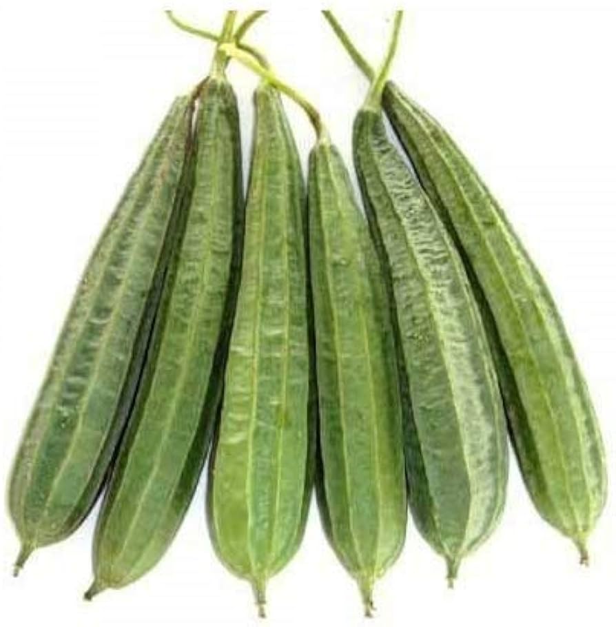 RIDGE GOURD (TORI) INDIA 500G