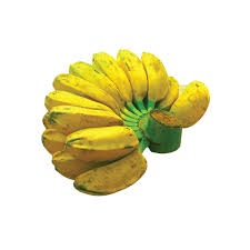 SABA BANANA 1 KG