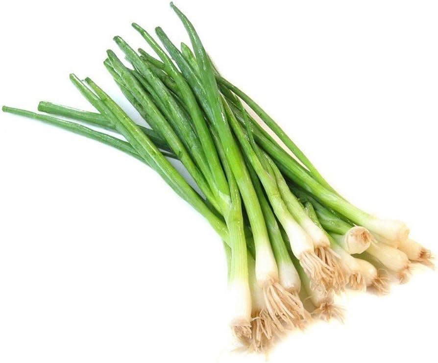 SPRING ONION LEAVES (PER BUNCH)