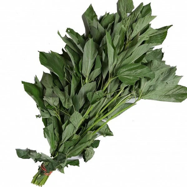 Saluyot (Per Bunch)