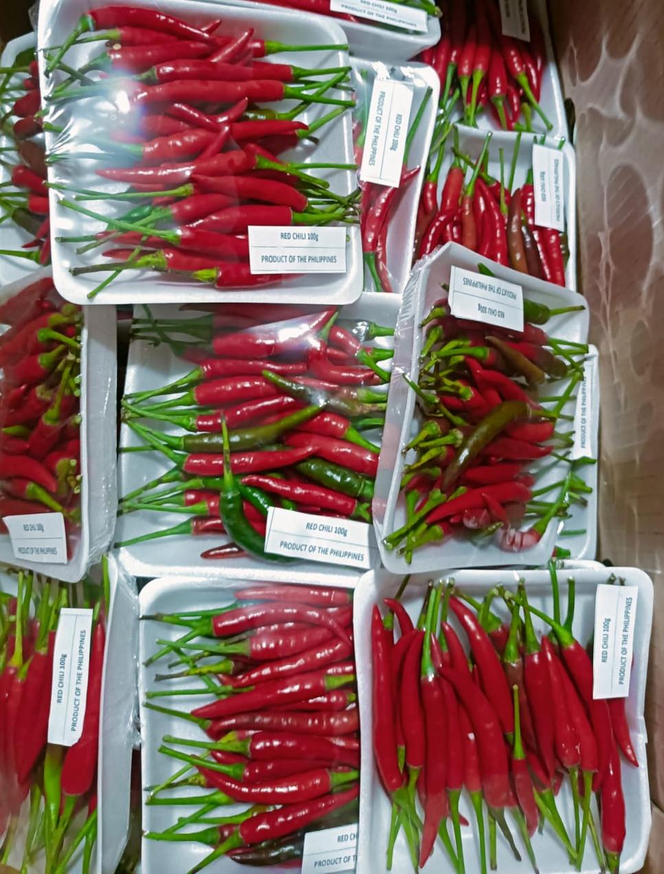 RED CHILLI (PHILIPPINES) PACKET