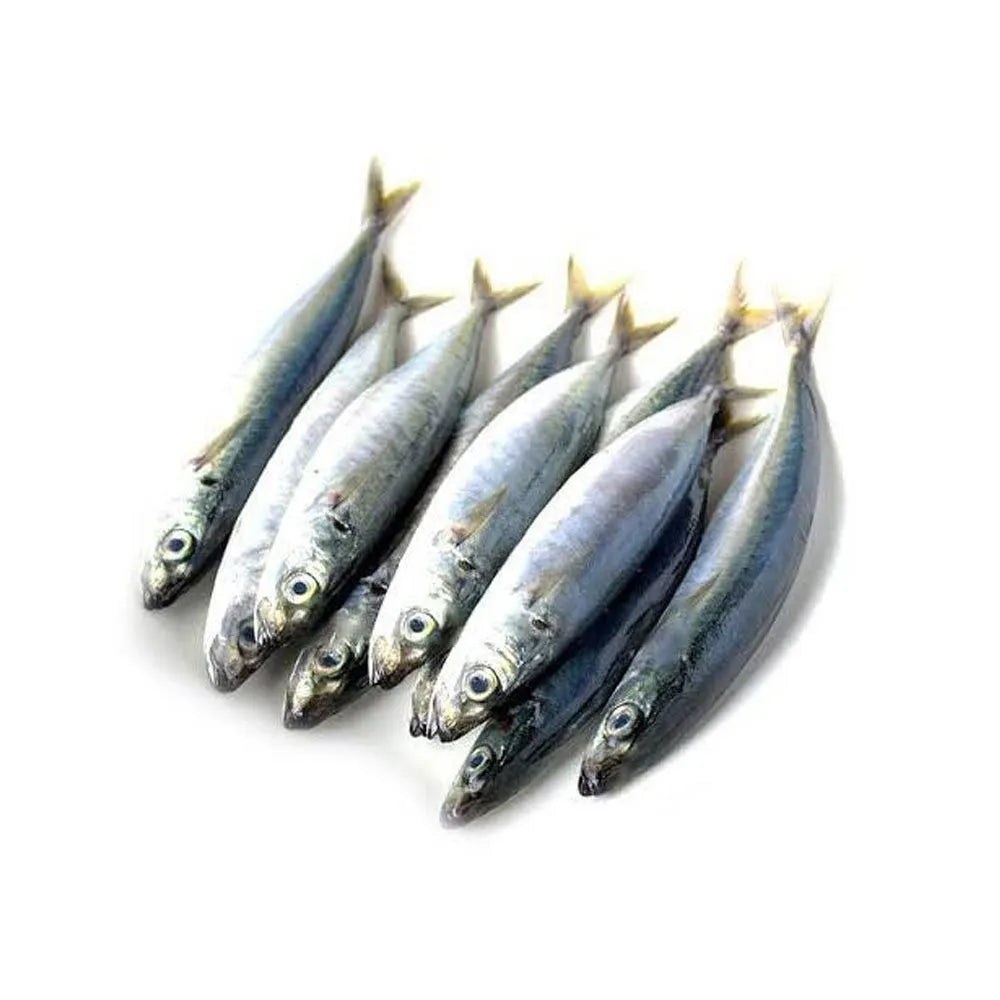 Fresh Galunggong Fish 500G