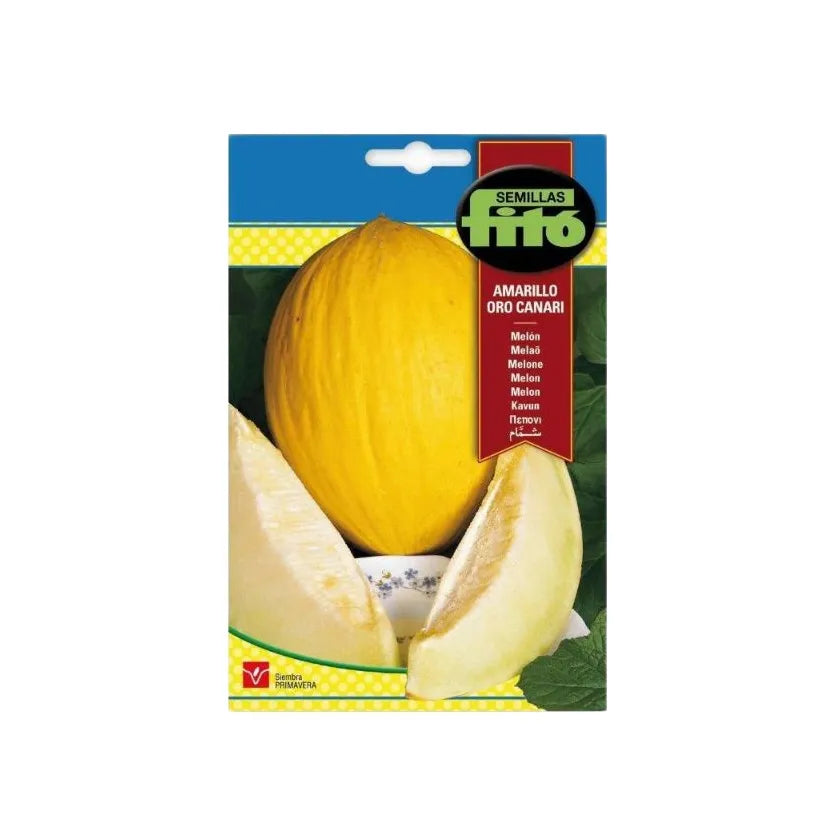 Fito Melon Amarillo Canario Seeds