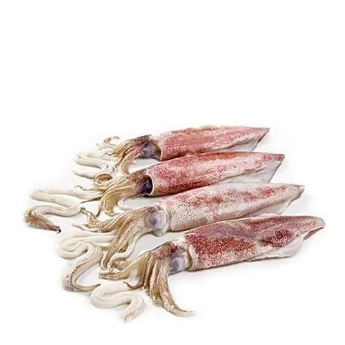 Fresh Squid Fish 500G