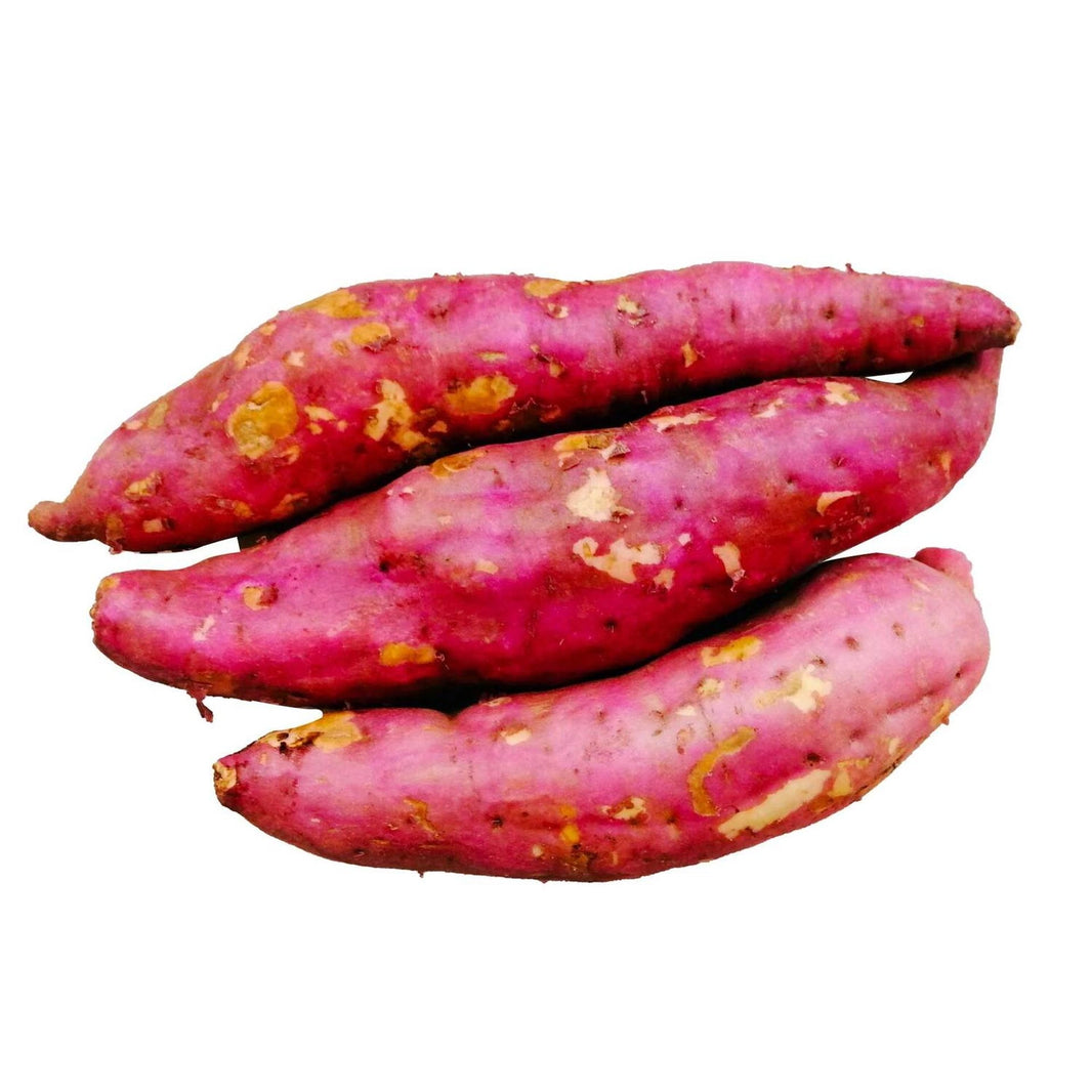 UGANDA SWEET POTATO