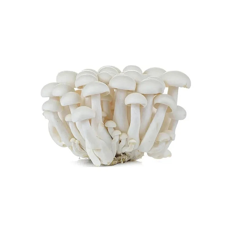 Mushroom Shimeji White 150G