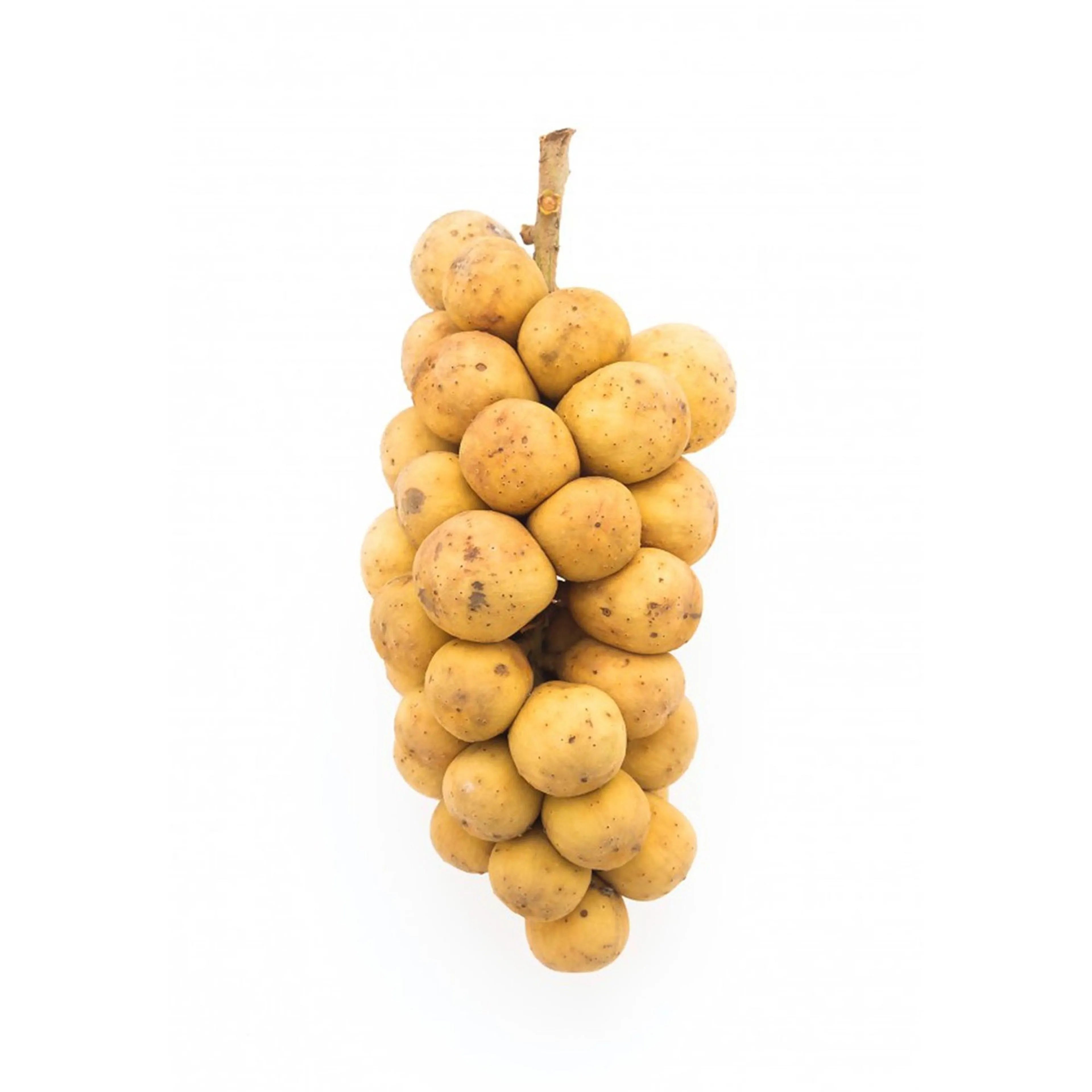 Longan Thailand 500Gm