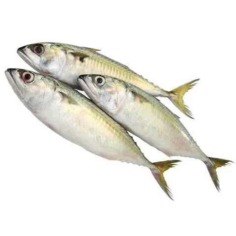Fresh Mackerel Fish 500G