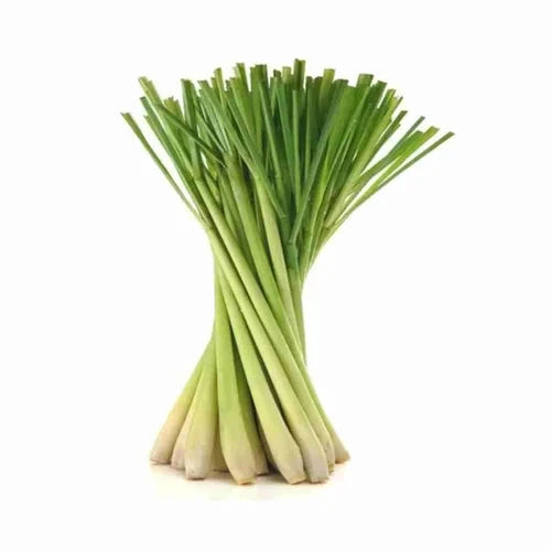 Lemon Grass (per 250gm) Vegetables Pinoygrocers 