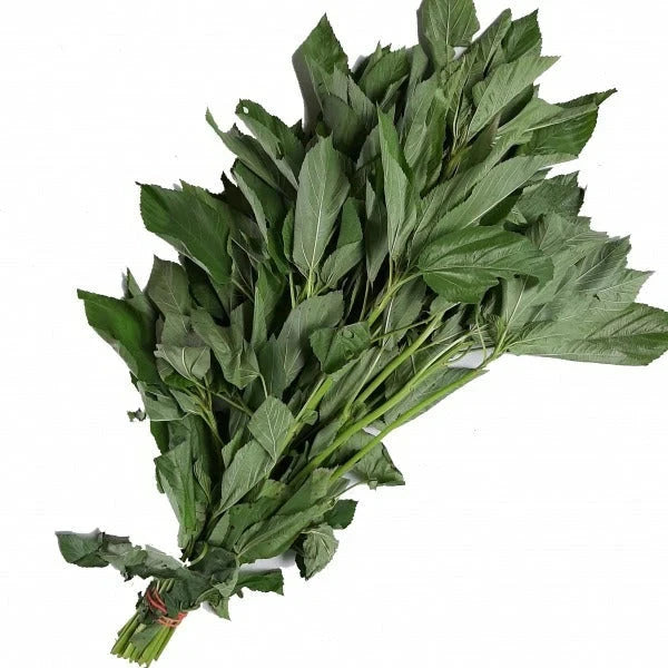 Saluyot (Per Bunch) Herbs Pinoygrocers 